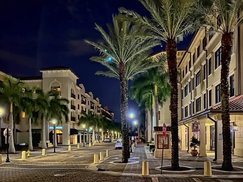 Harrison and Tyler Historic Districts